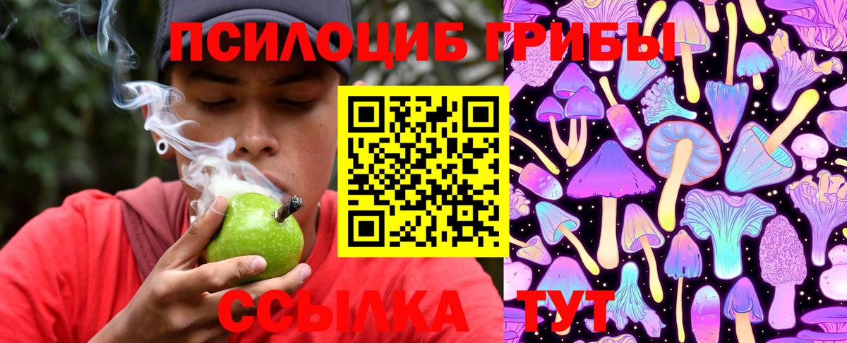 Псилоцибиновые грибы прущие грибы  Вход с VPN  Клин 