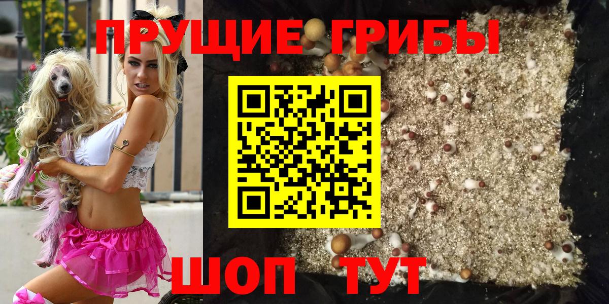 Галлюциногенные грибы GOLDEN TEACHER Клин